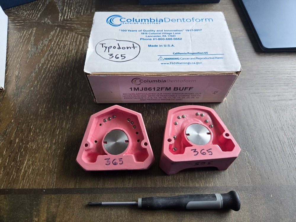 Columbia Dentoform Partially Edentulous Typodont (Used)