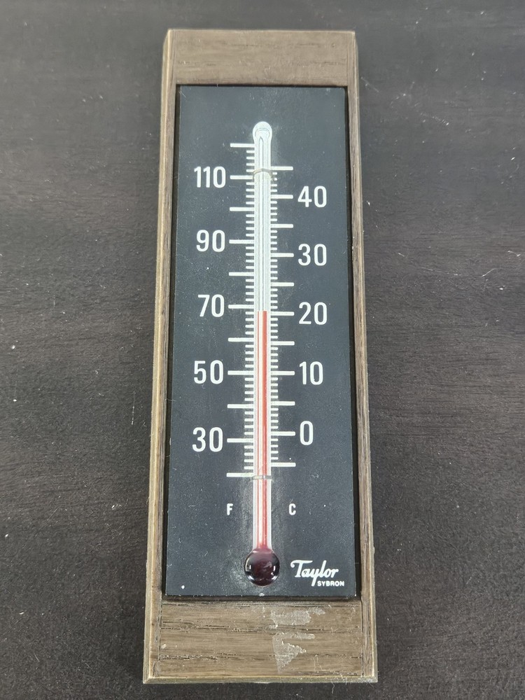 Vintage 60’s Taylor Hanging Thermometer