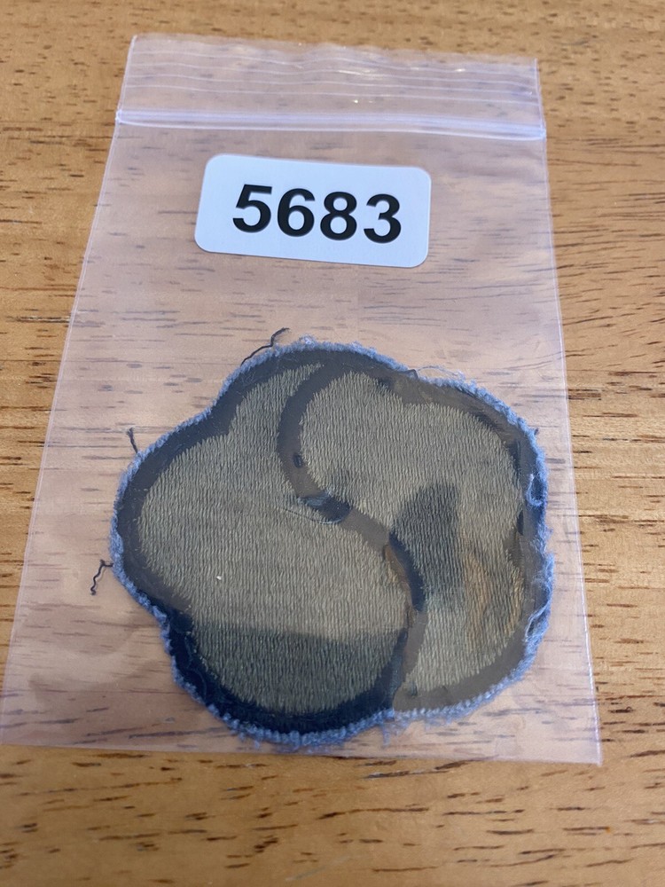 US Army 19th Support Brigade Subdued Patch INV5683