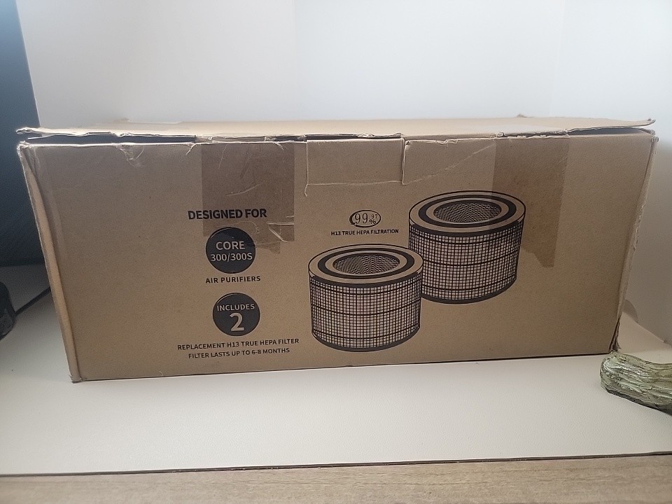 2 pack Core 300-RF True HEPA Replacement Filters