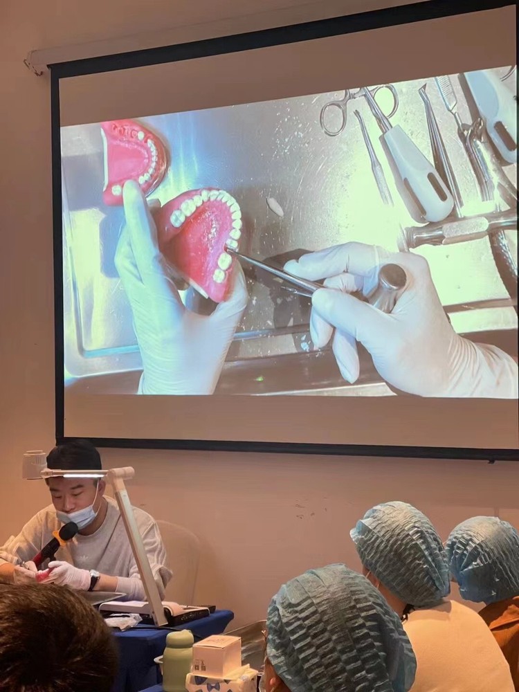 Maxillary+mandibular Tooth Extraction Practice Model Dental Typodont Teeth