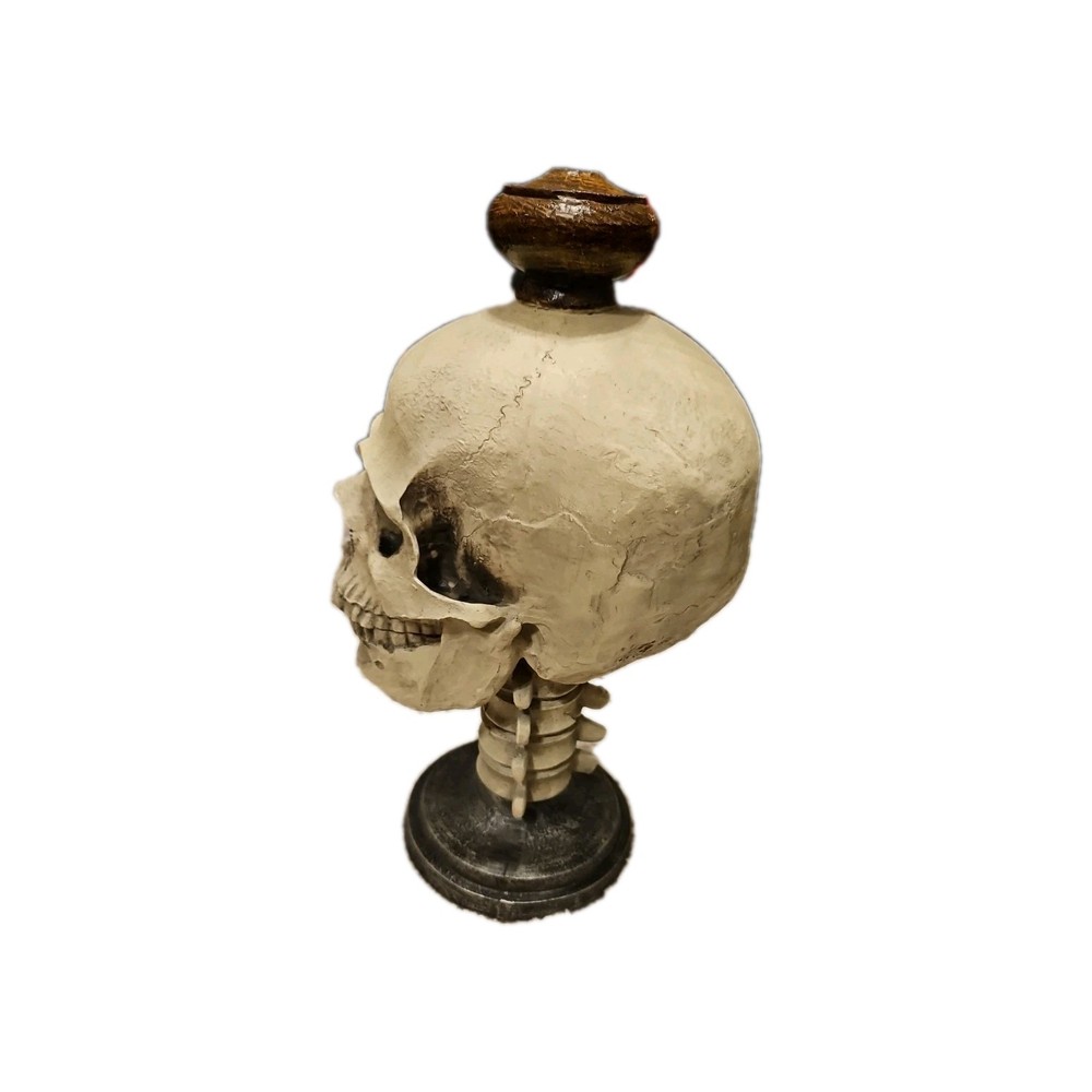 Skull Pedestal Decoration