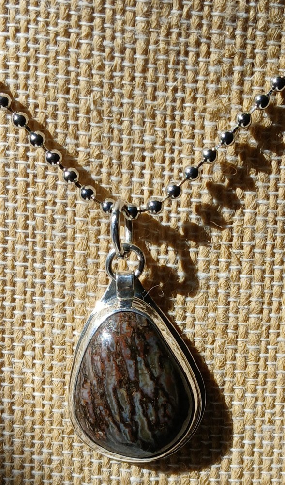 Dinosaur Bone Cabochon Set in Sterling Silver