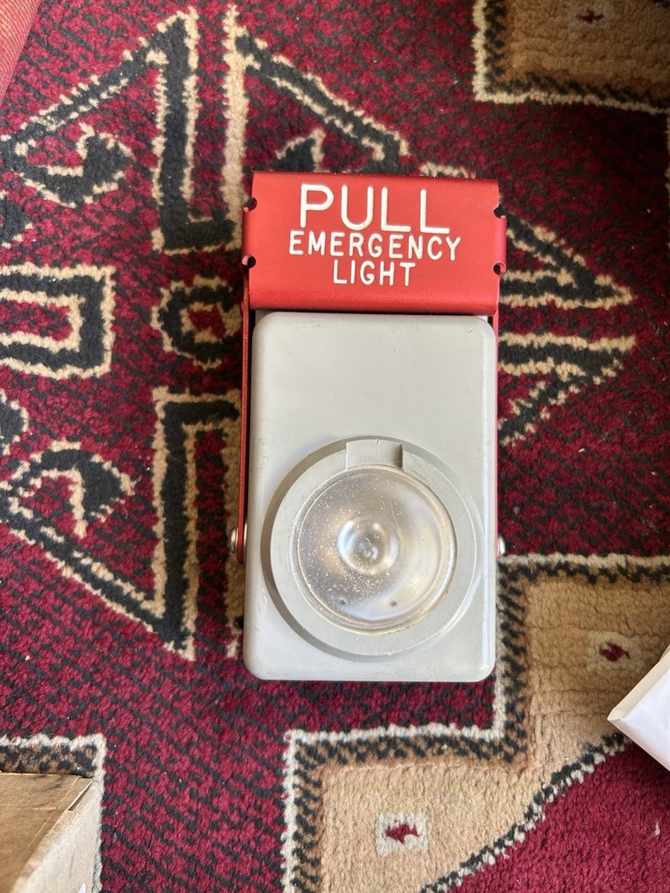 10-0055-3 Grimes Emergency Pull Light Assembly