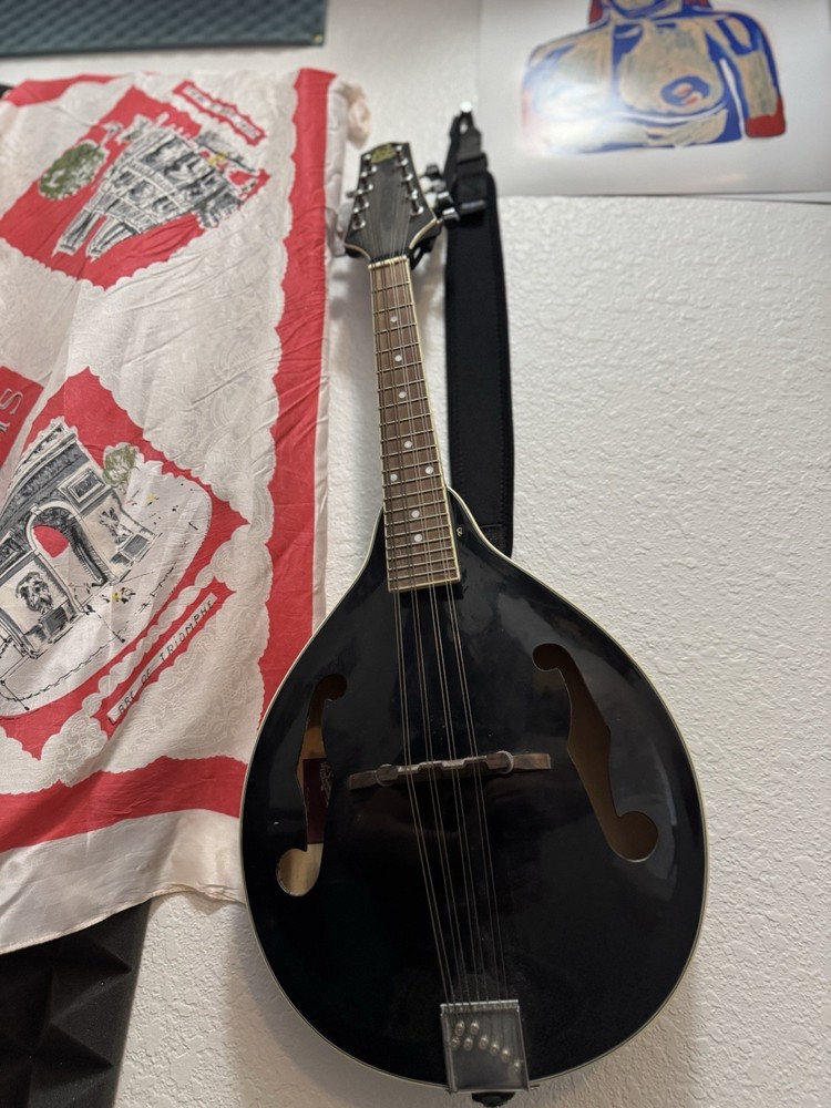 1980s Raine mandolin