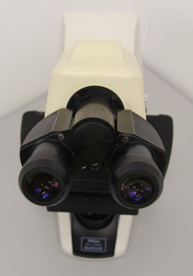 Nikon Eclipse E200 Microscope With Nikon E2-TB Viewing Head And No Objectives