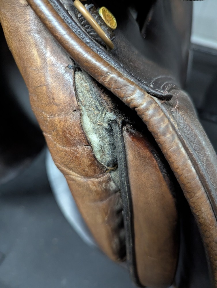 Collegiate 17" Saddle All Purpose