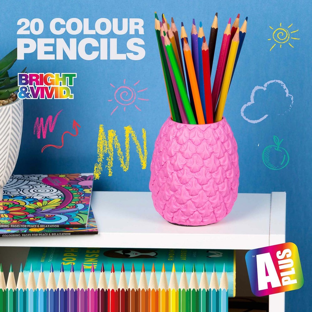 Assorted Coloured Pencils (20 Pack) A Plus