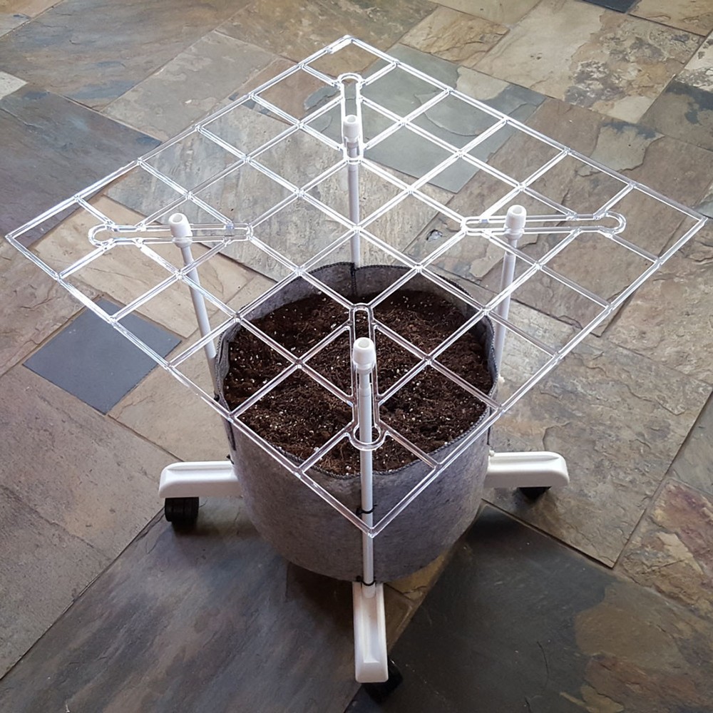 ScrOG Kit - "P SCROG Single Screen System" using a DWC bucket