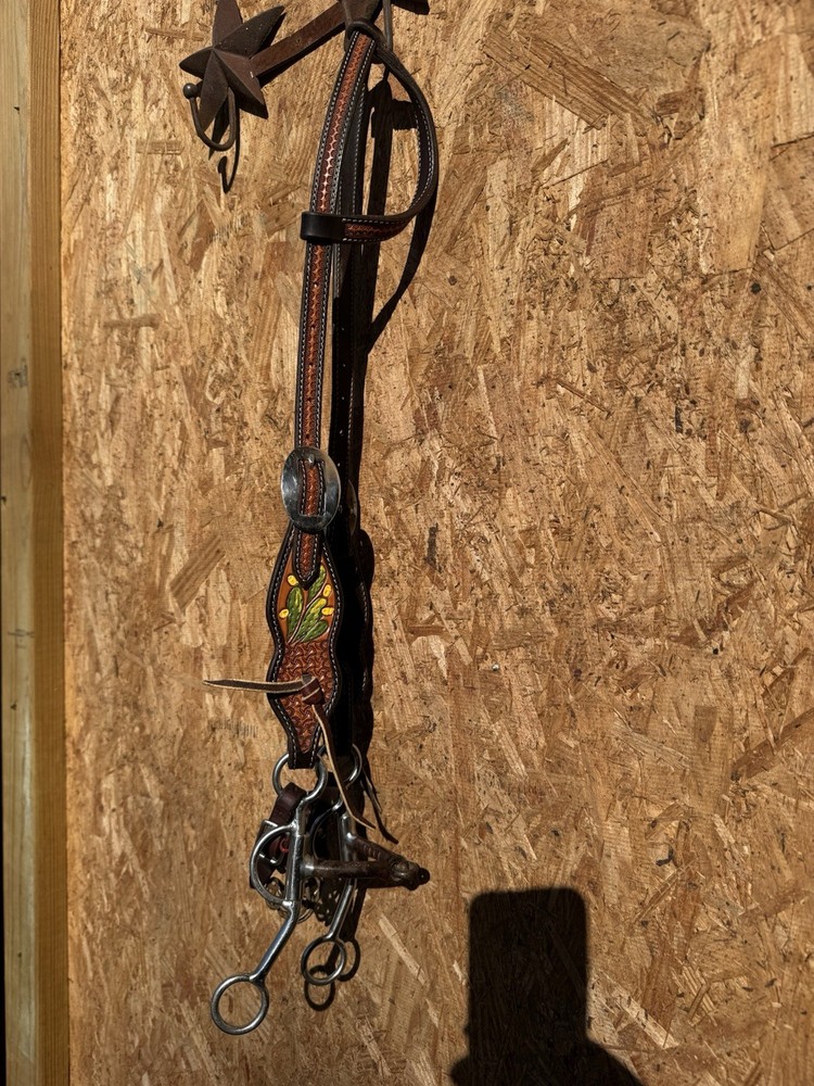 USED PROFESSIONALS CHOICE CACTUS HEADSTALL WITH ARGENTINE SNAFFLE BIT