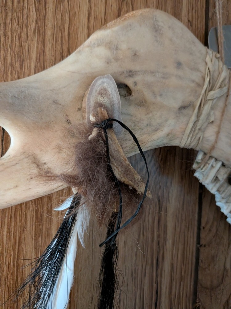 Native American buffalo jawbone war club 🪶🪶🦬