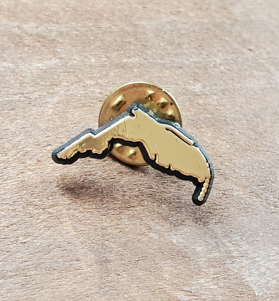 Vintage Florida - State Outline Plastic Pin Lapel