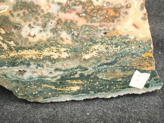 ocean jasper slab
