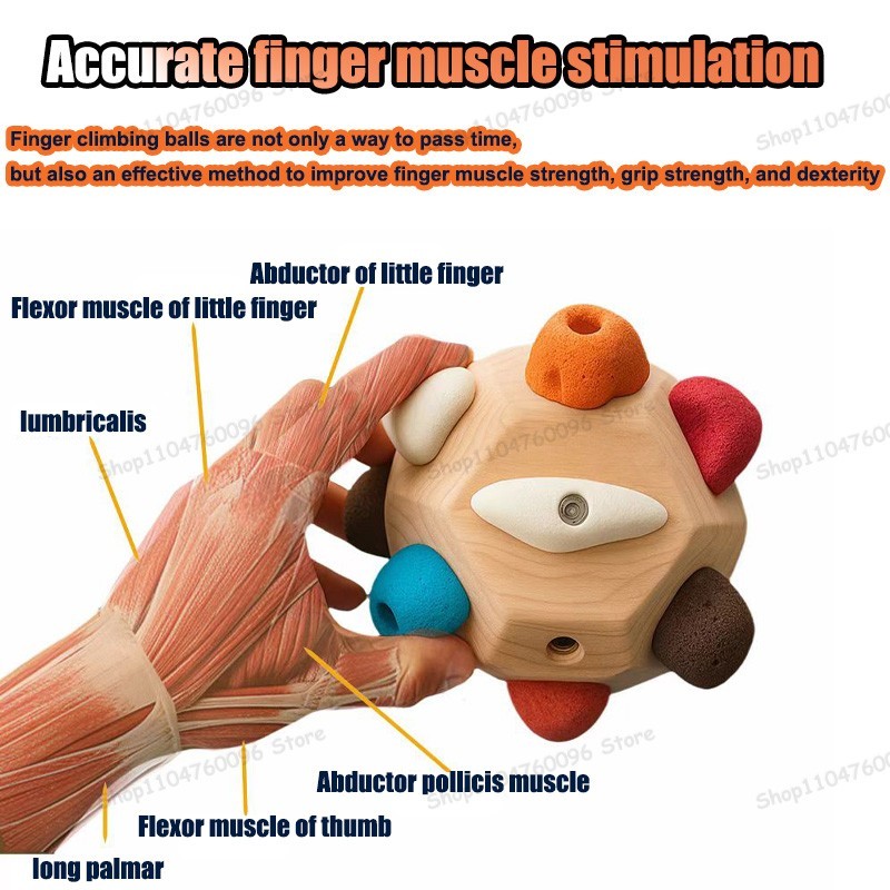 Elite Finger & Forearm Grip Trainer for Climbers
