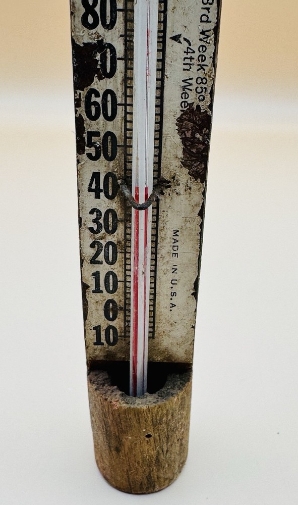 Vintage Wood Framed Chicken Brooder 9.5" Thermometer