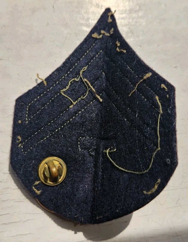 WW2 MEDICAL COLLAR DISK AND CHEVRON