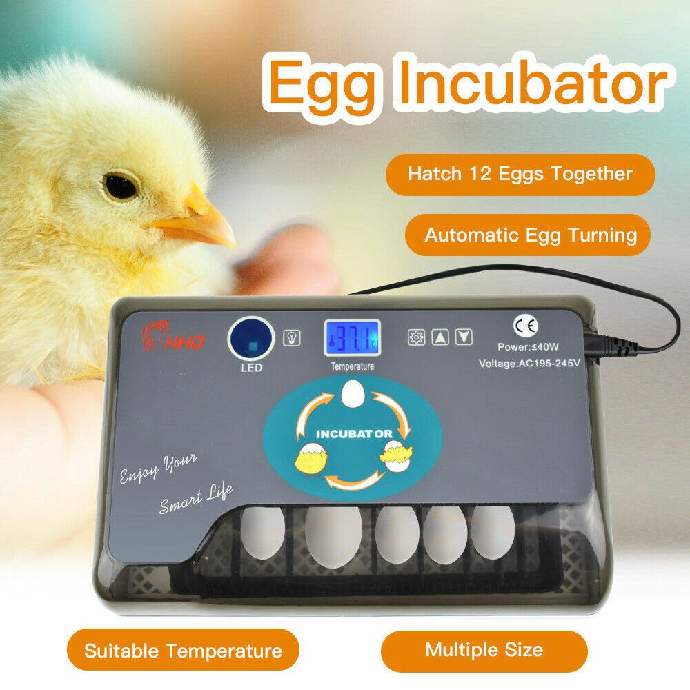 12 Eggs Mini Visual Egg Incubator Digital Egg Incubator w/Automatic Turning