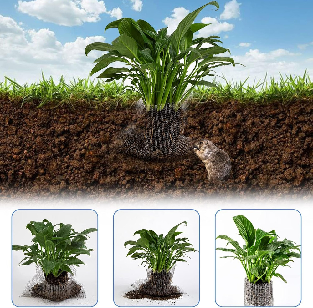 Root Guard Gopher Proof Wire Basket Mole and Vole Mesh Wire Baskets Underground