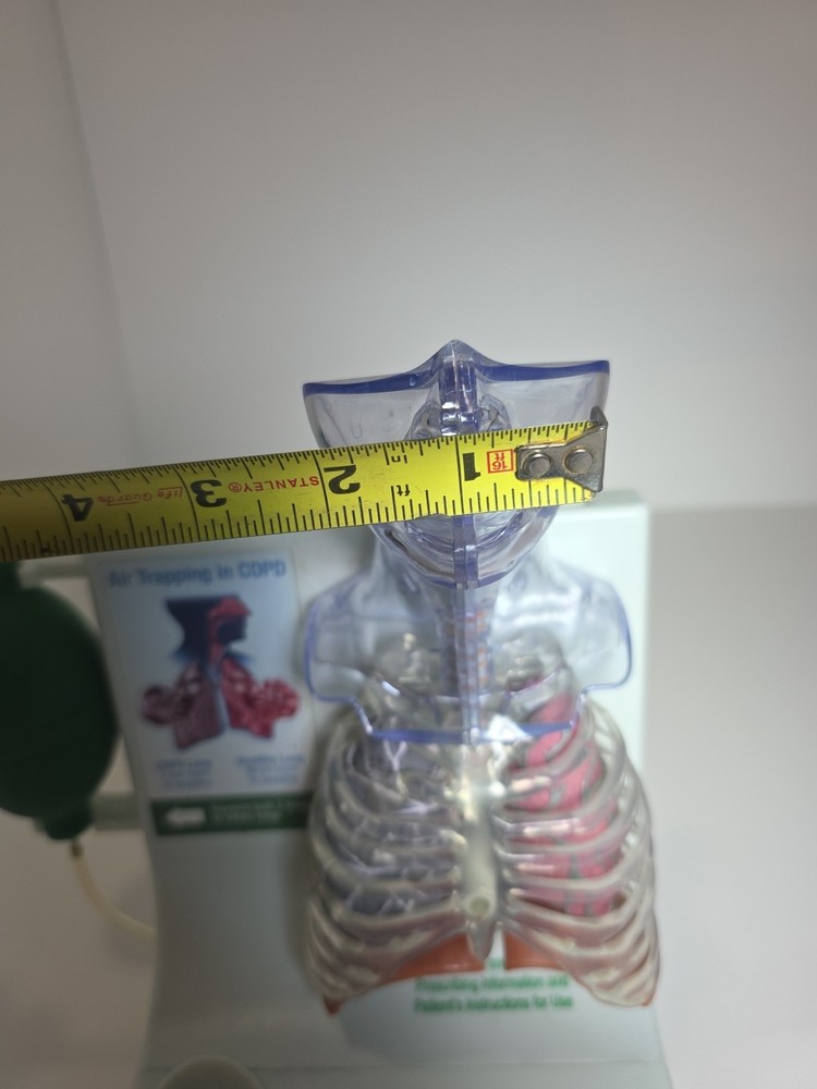 Vintage Pfizer Lung Display Model - Interactive Pump-expanding Lungs Works