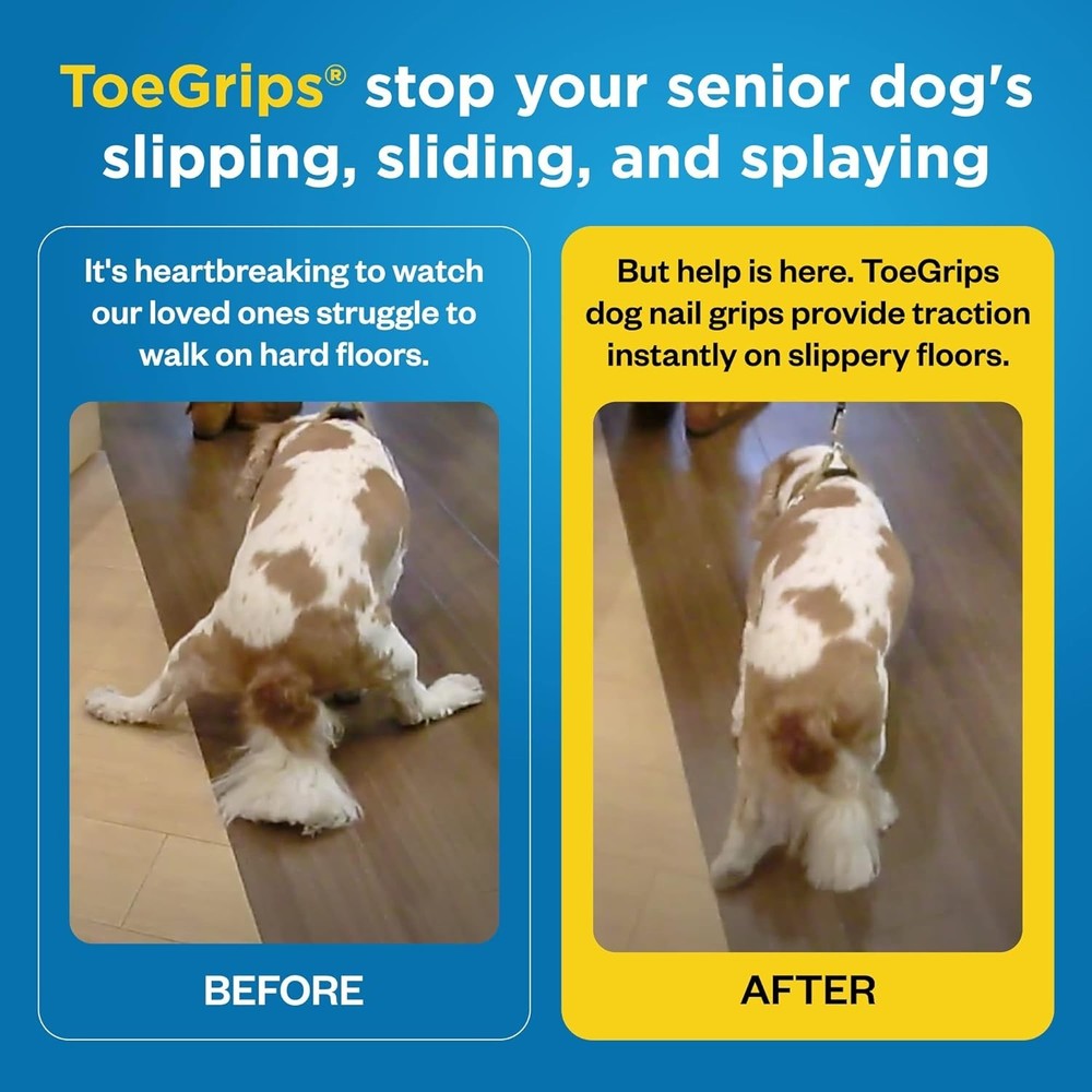 Dog Nail Grips - Instant Traction 20 Pack