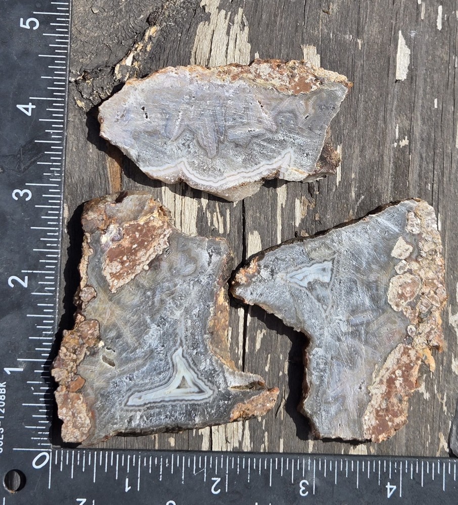 Turkish Agate Slabs Slices From One Stone Matching Lapidary Unique