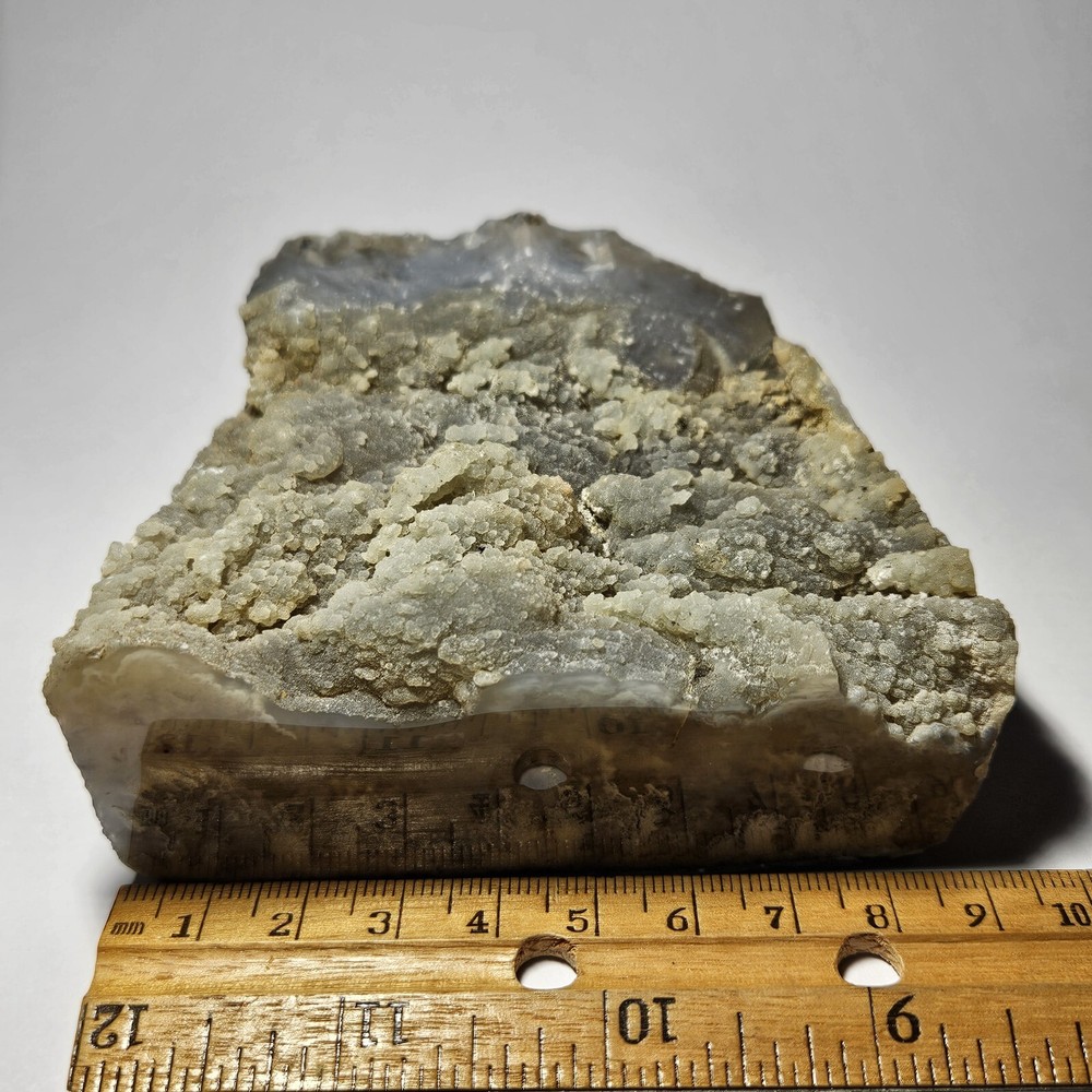 Polished Plume Agate Rough Display Specimen 429 Grams