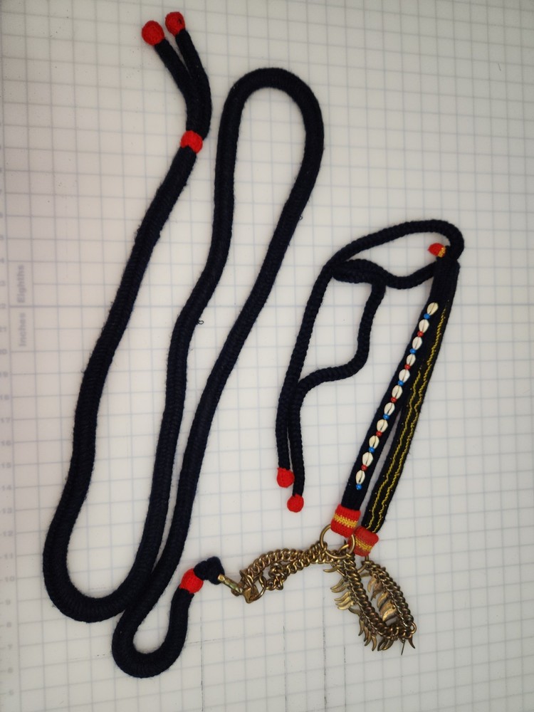 Vintage Arabian Presentation Halter and Lead