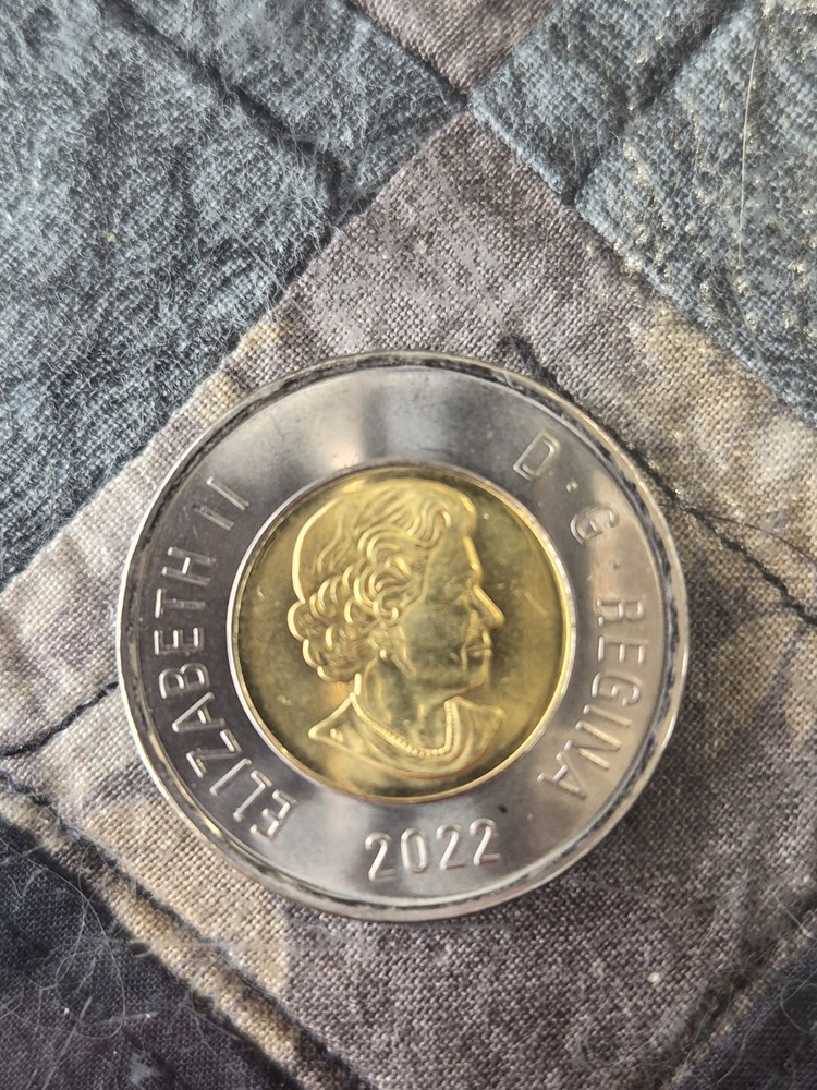 2022 Canada Toonie Coin. Mint