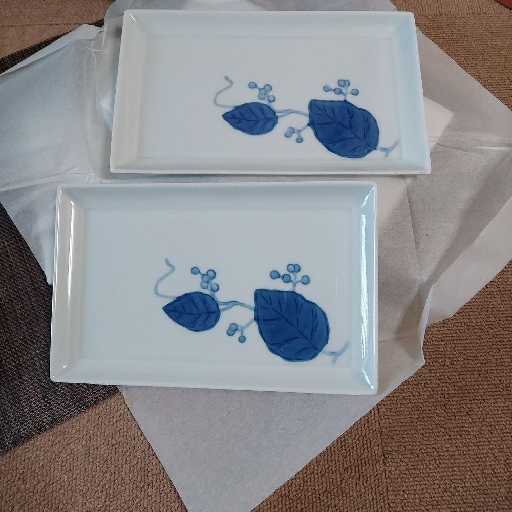 Tachikichi Square Plate 22cm Pair Set