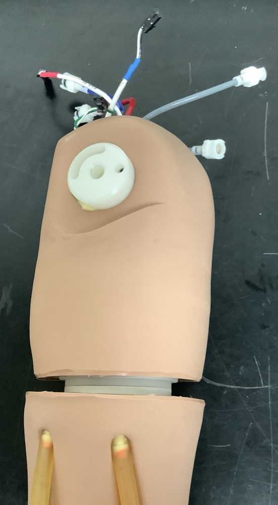Child Pediatric Multi-Venous IV Training Arm