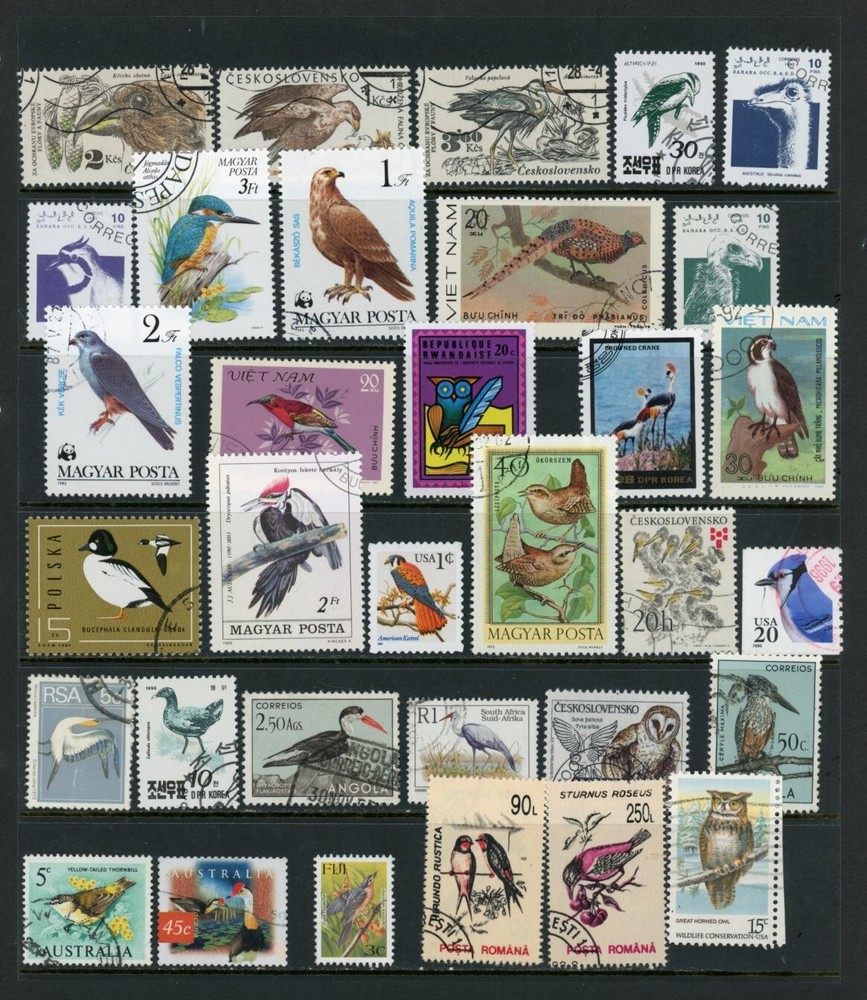 BIRDS  / 24-11-4h  /   used