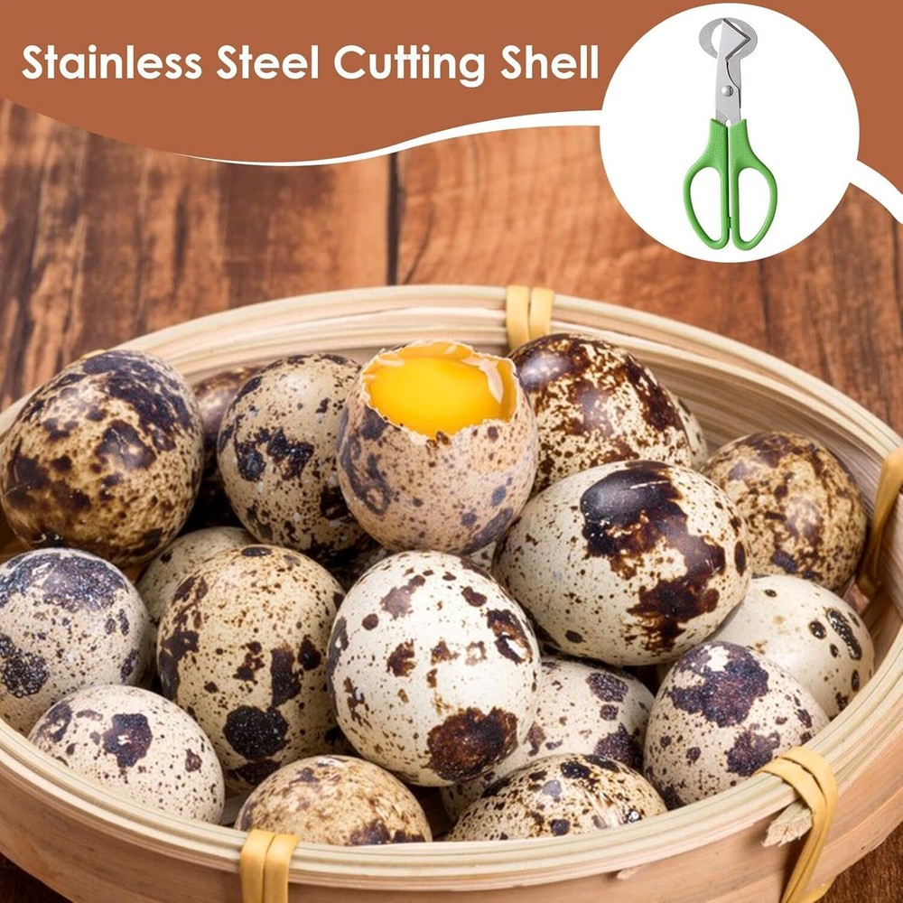 Quail Roast egg scissors eggshell scissors eggshell opening divider scissors Lot