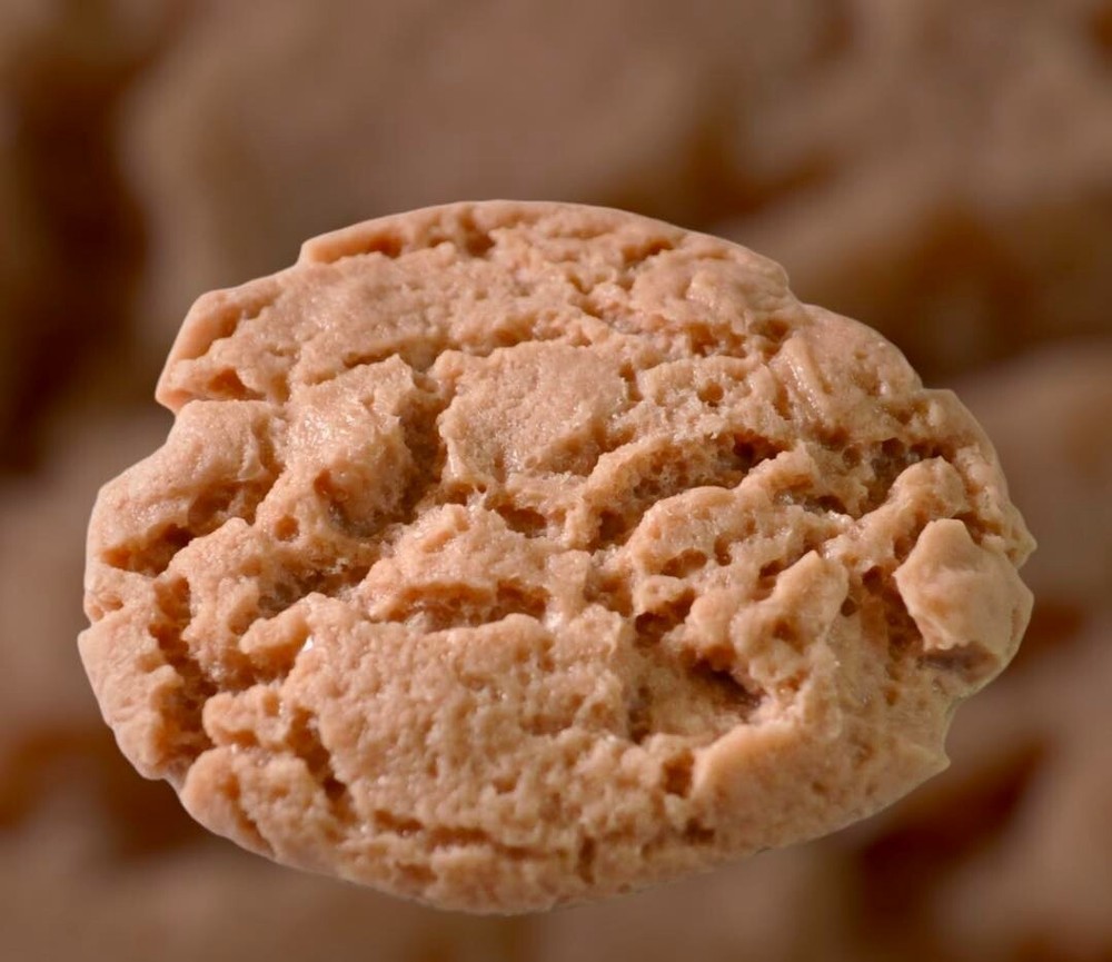 The Oatmeal Cookie
