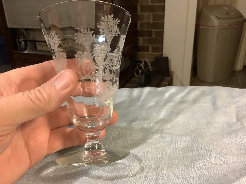Crystal Etched Water Goblet 5.5” Tall