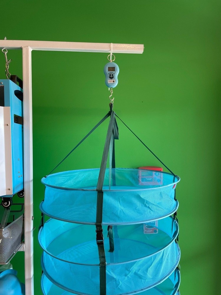 THEPROTECTOR 3FT Dry Rack 6 Layer Mesh Herb PlantHydroponics Hanging Drying Rack