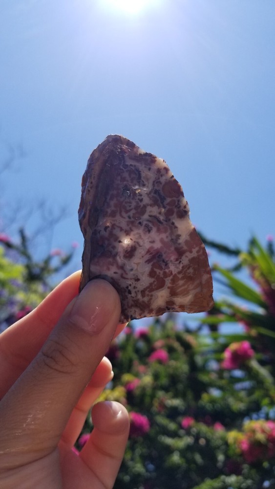 Wingate Pass - Plume Agate - Slab