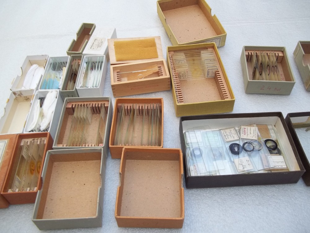 Vintage Glass Microscope Slides - As shown
