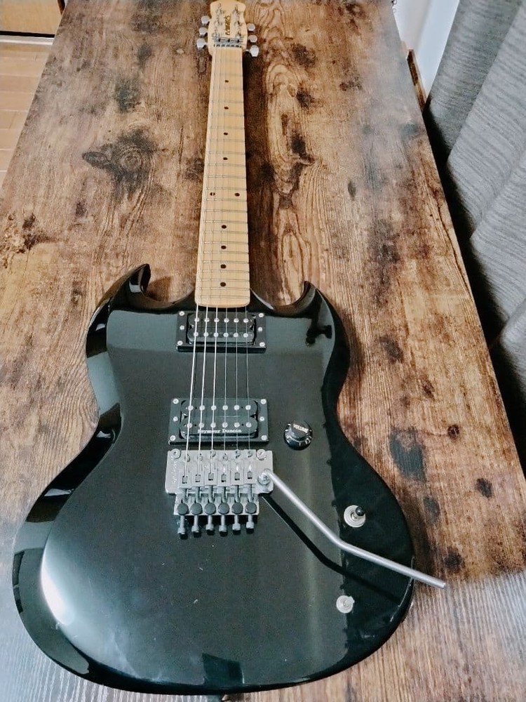 Edwards Electric Guitar Safe Packing!