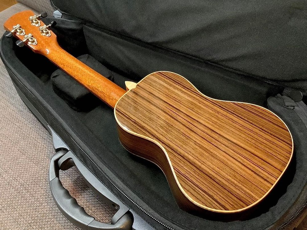 Concert ukulele with semi-hard case
