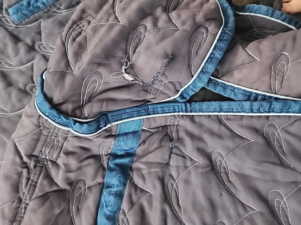 Horse Blanket