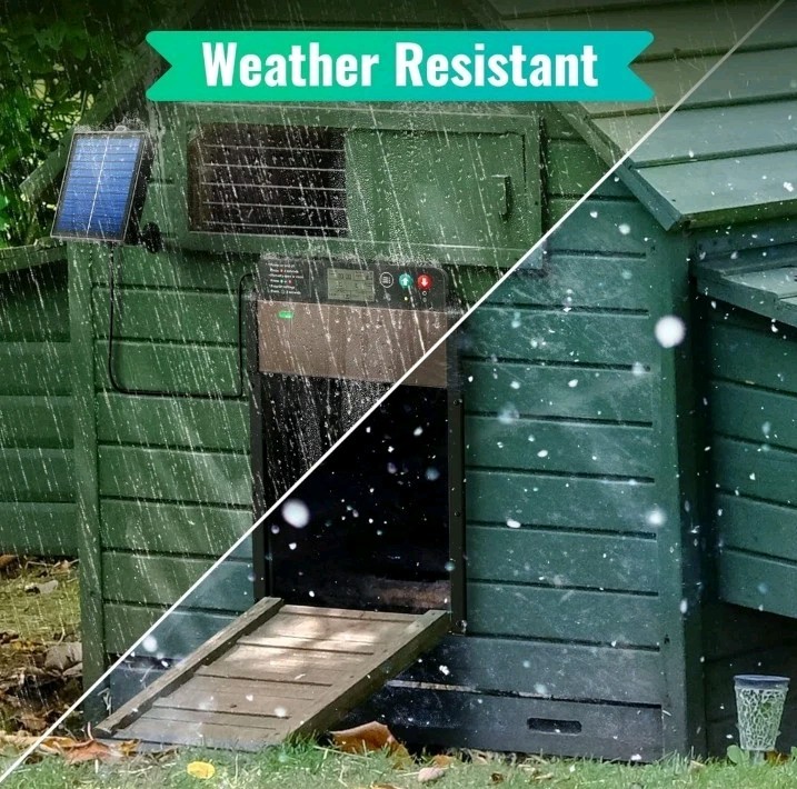 Automatic Chicken Coop Door Solar Powered with Timer/Light Sensor Setting