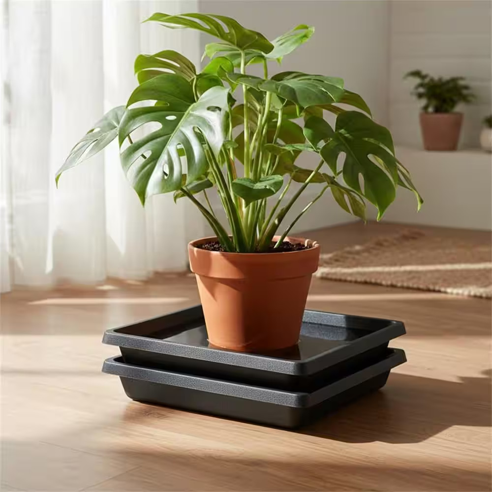 2 Pack Plastic Square Plant Saucer