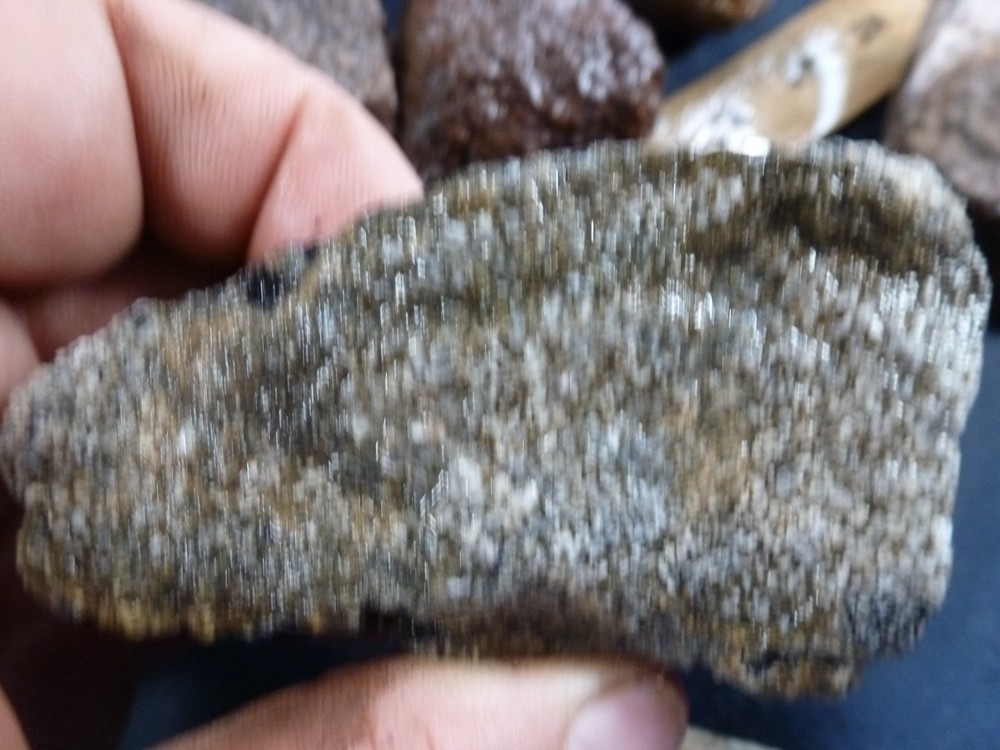 CSS: 6.8 lbs Of Dino Bone Gembone Rough