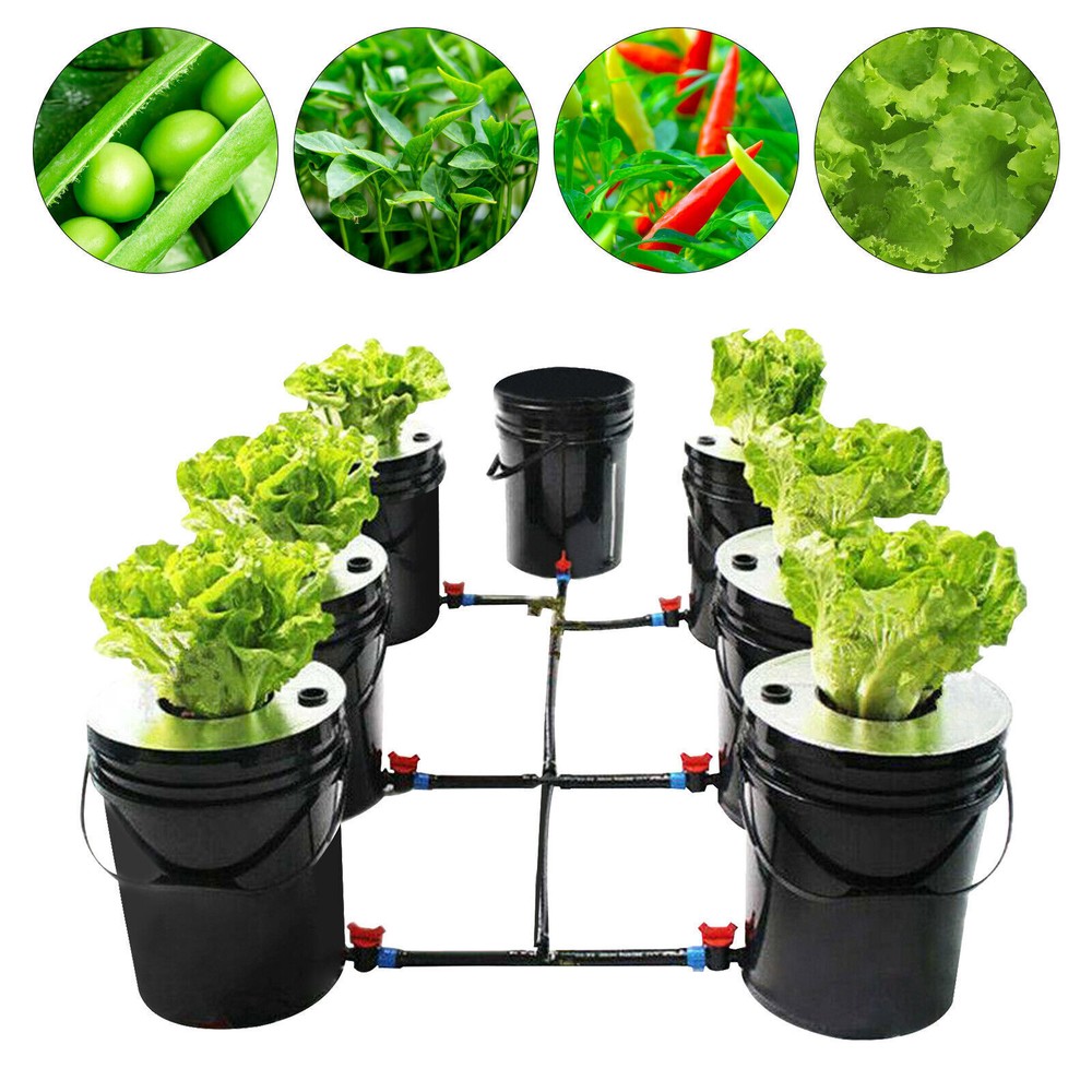 DWC 5 Gallons 6 Buckets Hydroponics Growing System Recirculating Growing Kit US
