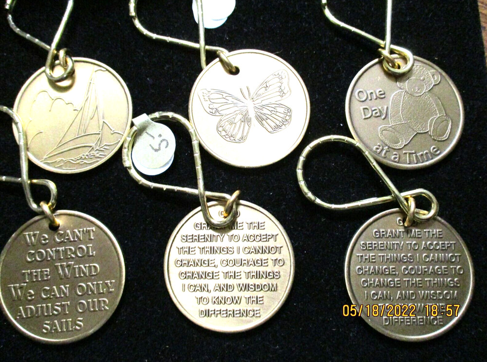 Coins Chip Brass Bad Days / Serenity All 12 Step Recovery Programs