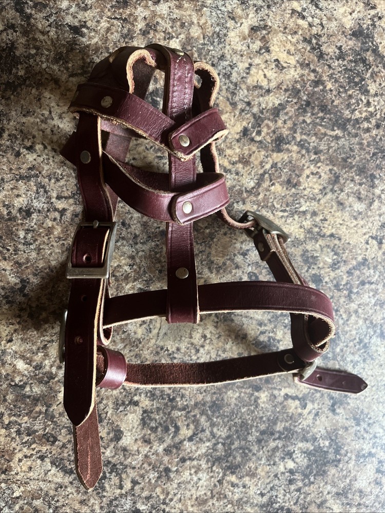 Leather Dog Muzzle