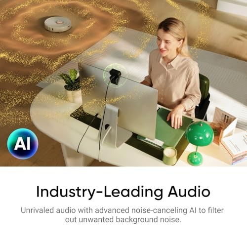 Link 2C - 4K Webcam for PC/Mac, 1/2" Sensor, Graphite Black Standard Bundle