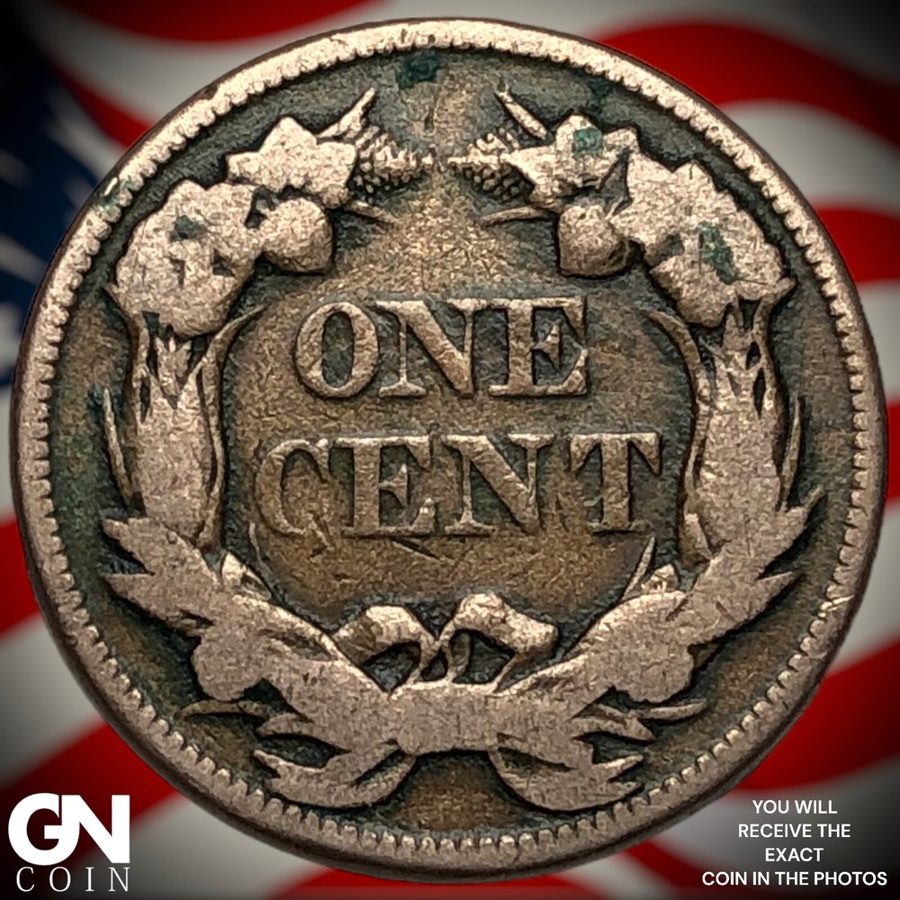 1858 Flying Eagle Cent M0865