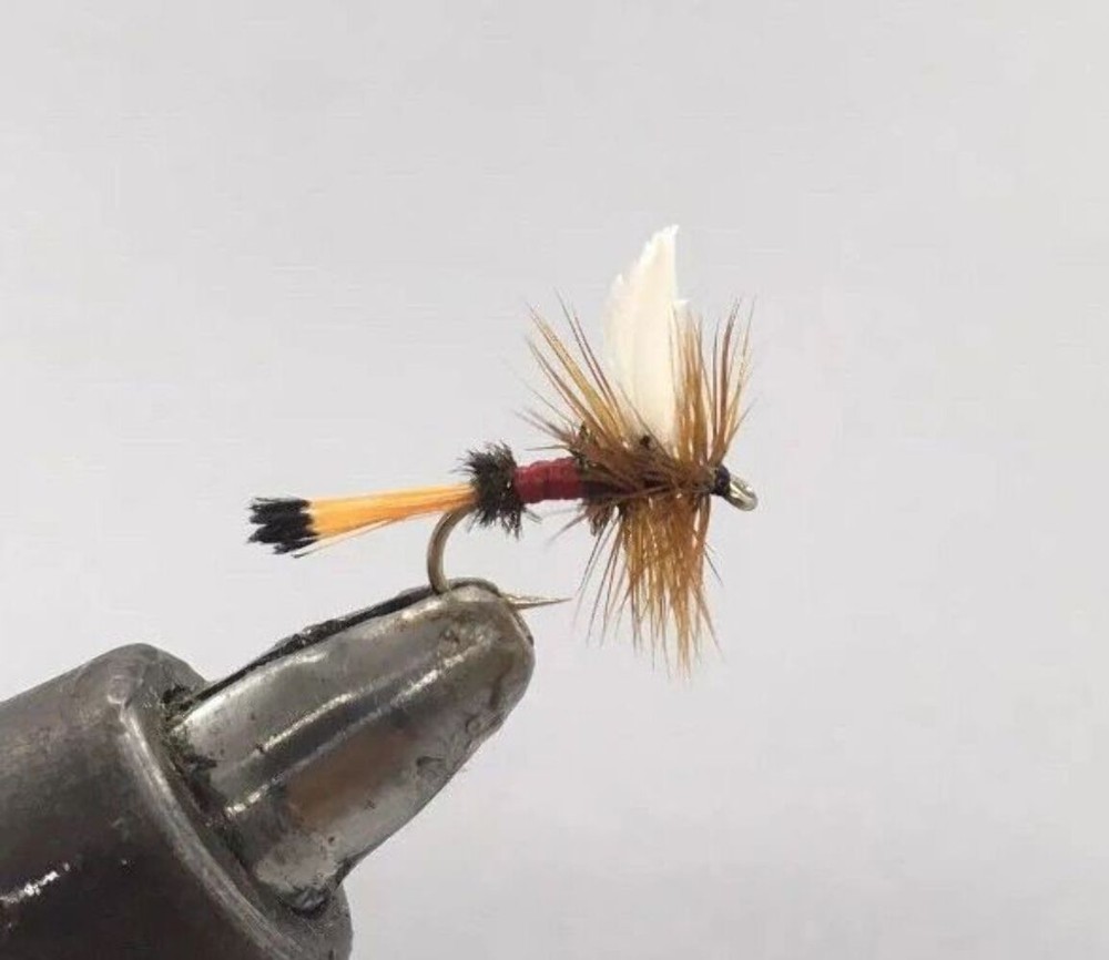 Royal Coachman, 12 Pack Dry Flies, Strike Fly Company