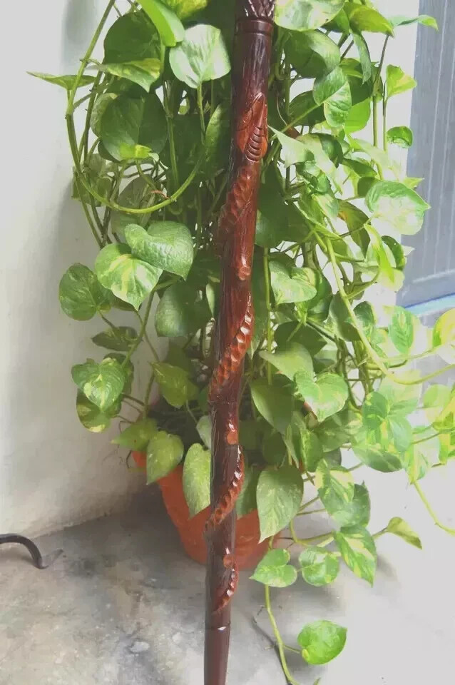 - Handcrafted Wooden Carved Eagle Head & Snake ClimbTree